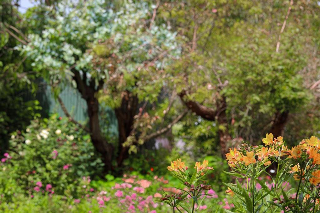 Daysy Hill Country Cottages Port Campbell Exterior foto