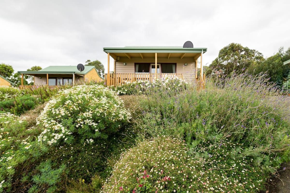 Daysy Hill Country Cottages Port Campbell Exterior foto